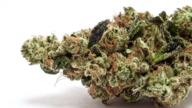 Ten Hot Cannabis Flavors of the Summer