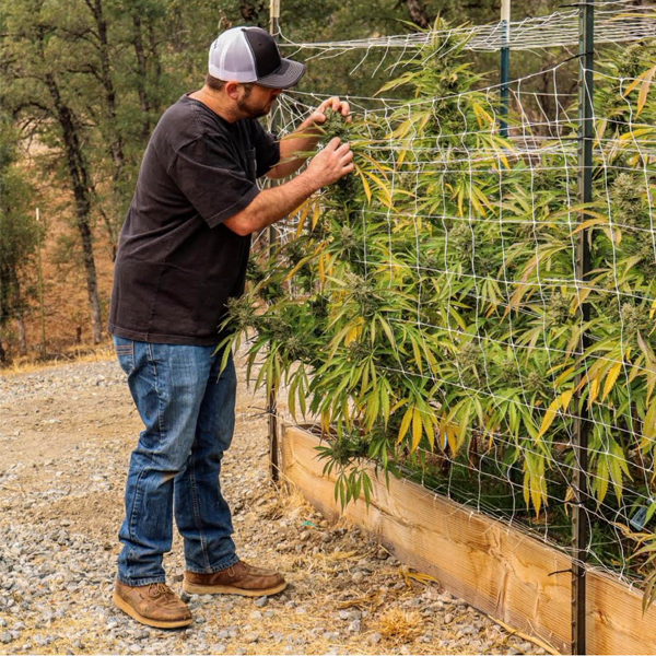 https://rimrockfarms.org/wp-content/uploads/2022/01/mark.png
