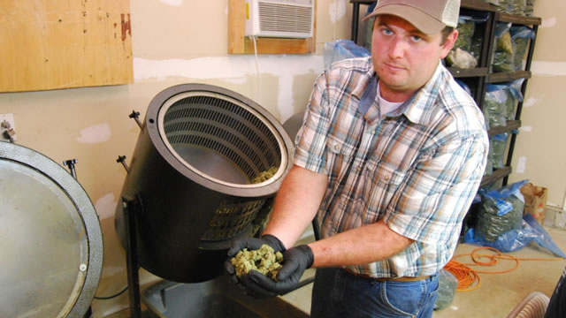 Commercial cannabis farming, done right